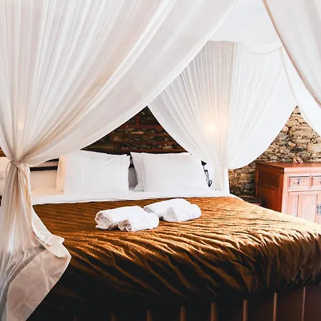 Freedom Eco Portugal *