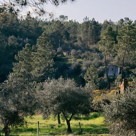 Freedom Boutique Portugal