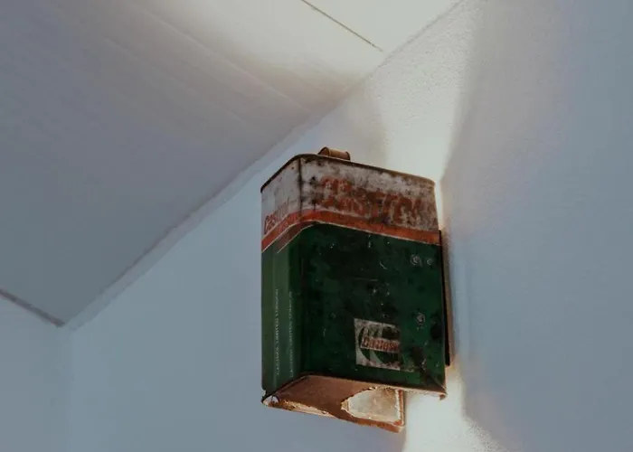 Freedom Eco Portugal * Vale da Certa